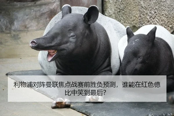 利物浦对阵曼联焦点战赛前胜负预测，谁能在红色德比中笑到最后？