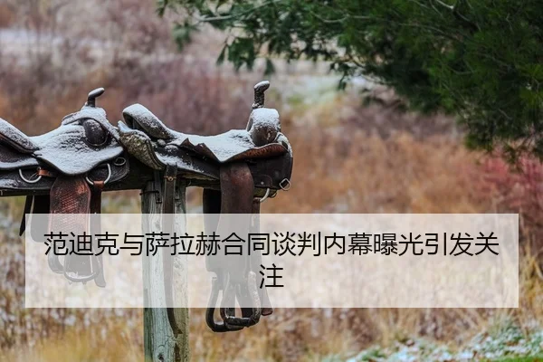 范迪克与萨拉赫合同谈判内幕曝光引发关注